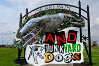 Art Path & Junkyard Dogs 28April20